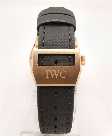 iw503002
